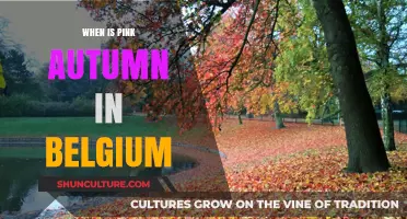 Discovering Belgium's Enchanting Pink Autumn: A Traveler's Guide