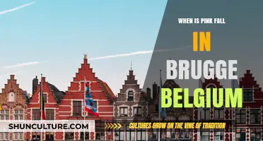 Autumn's Blush: When Does Pink Fall in Brugge, Belgium?