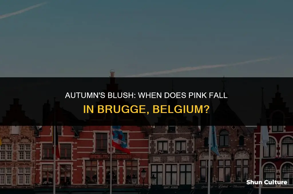 when is pink fall in brugge belgium