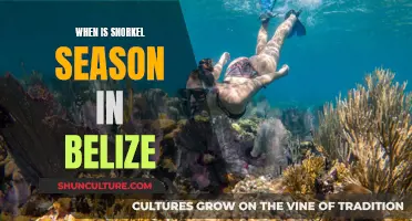 Belize's Snorkel Season: When to Go