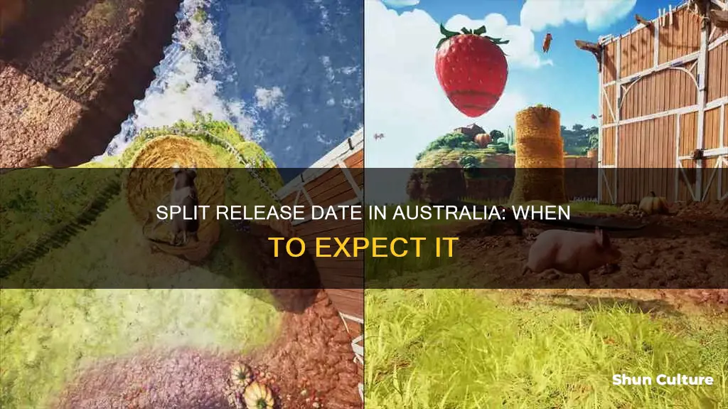 when is split coming out in australia