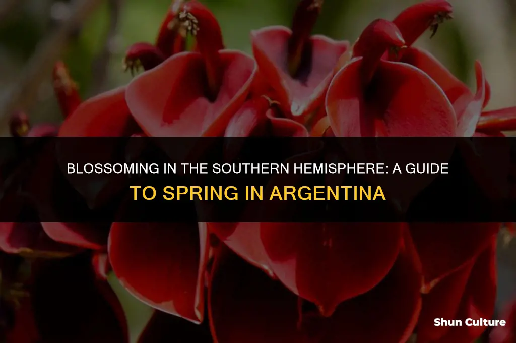 when is spring in argentina