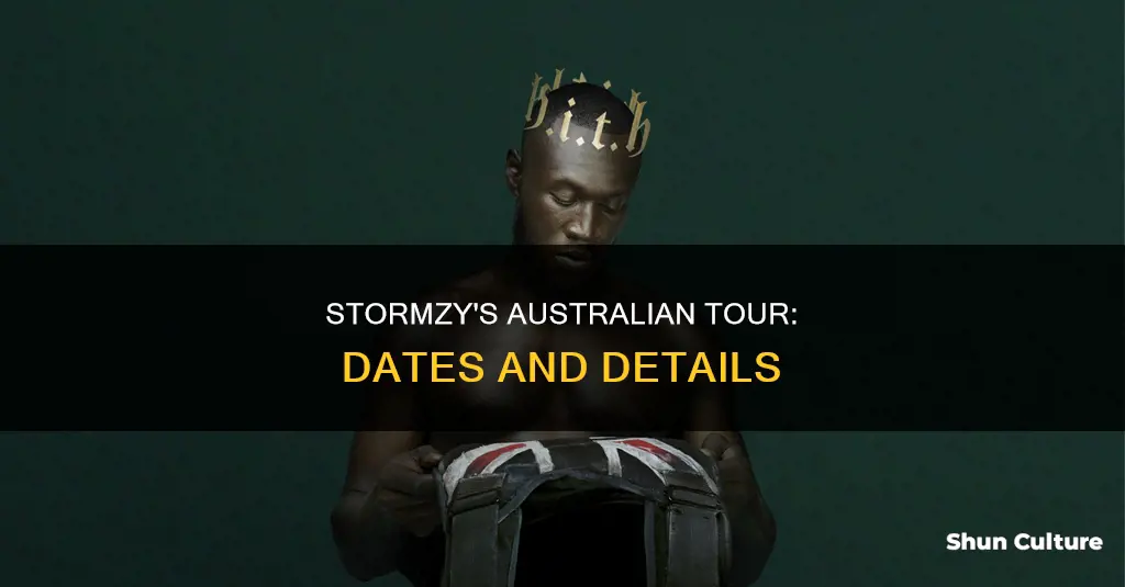 when is stormzy coming to australia
