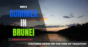 Summer in Brunei: When the Sun Shines Brightly