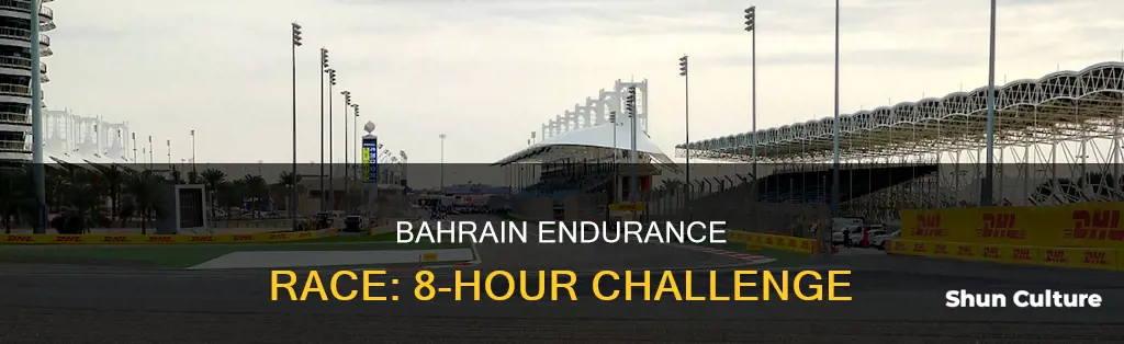 when is the 8 hours of bahrain