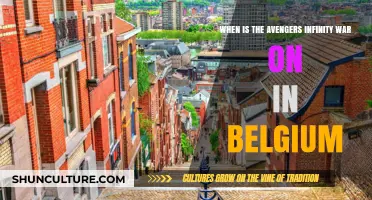 Avengers: Infinity War Release Date in Belgium - Everything You Need to Know