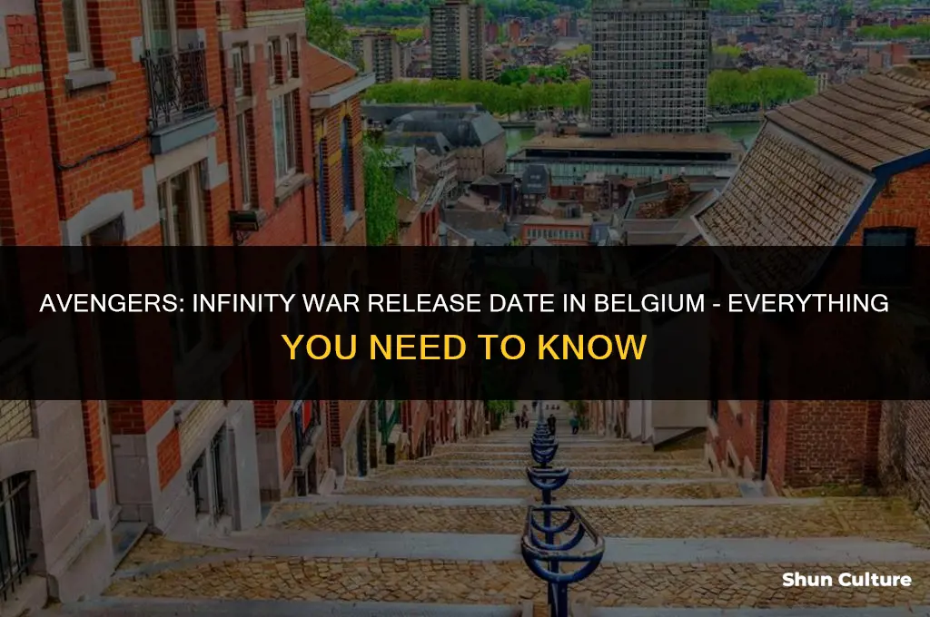 when is the avengers infinity war on in belgium