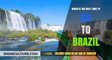 Discover Brazil's Ideal Seasons: When to Plan Your Perfect Trip
