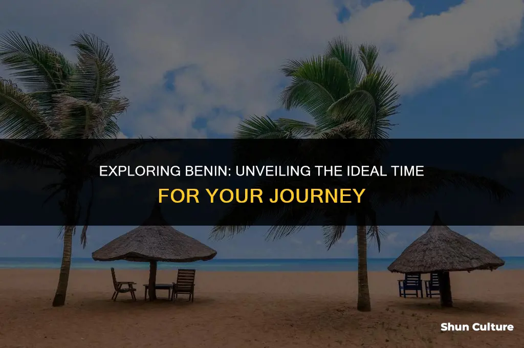 when is the best time to travel to benin