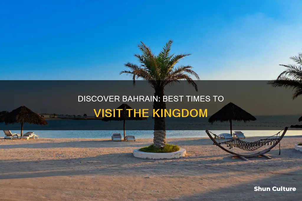 when is the best time to visit bahrain