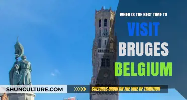 Discovering Bruges: The Ideal Time to Visit Belgium's Charming City