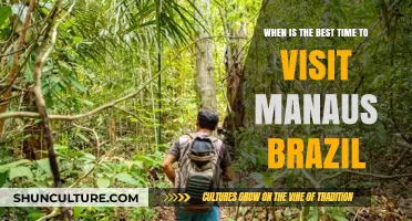 Discover the Ideal Season to Explore Manaus, Brazil's Amazon Gateway