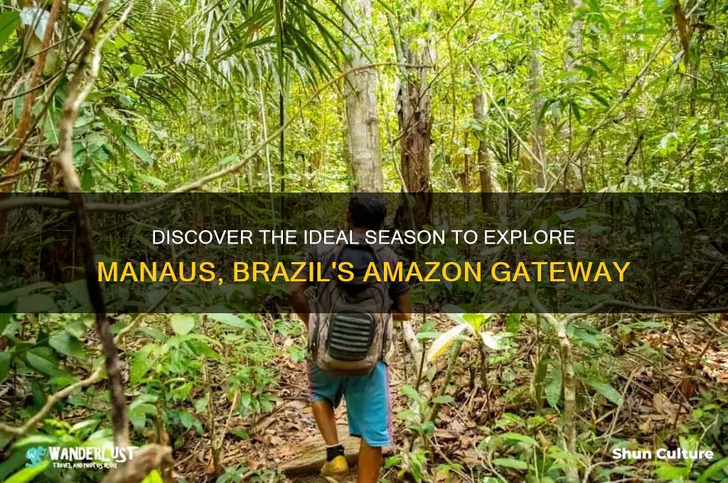 when is the best time to visit manaus brazil