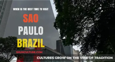 Discovering São Paulo: Ideal Seasons for Your Brazilian Adventure