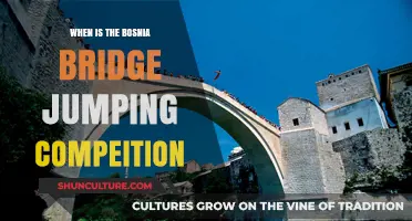 Bosnia Bridge Jumping Competition: Dates and Daring Details Revealed