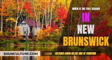 Fall Season in New Brunswick