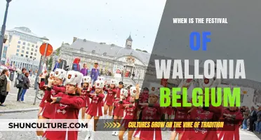 Discover the Vibrant Festival of Wallonia, Belgium: A Cultural Extravaganza