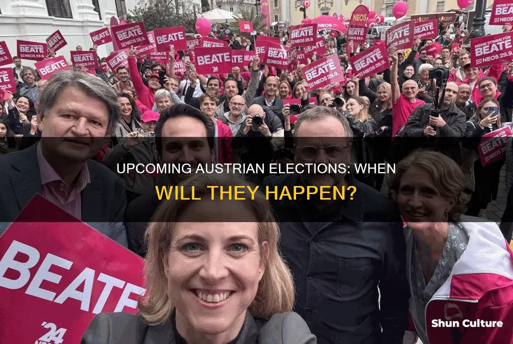 when is the next austrian election