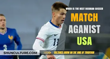Upcoming Bosnian vs. USA Soccer Match: Date and Preview