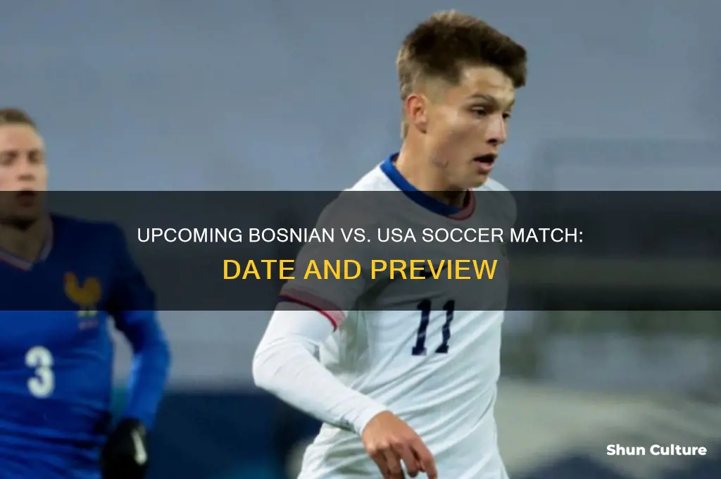 when is the next bosnian soccer match aganist usa