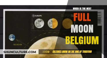 Lunar Calendar: When to Expect the Next Full Moon in Belgium