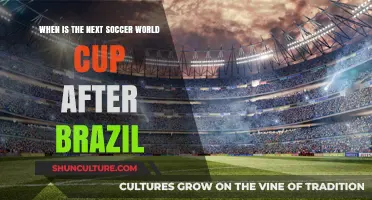 Next Soccer World Cup: Dates and Host After Brazil 2022