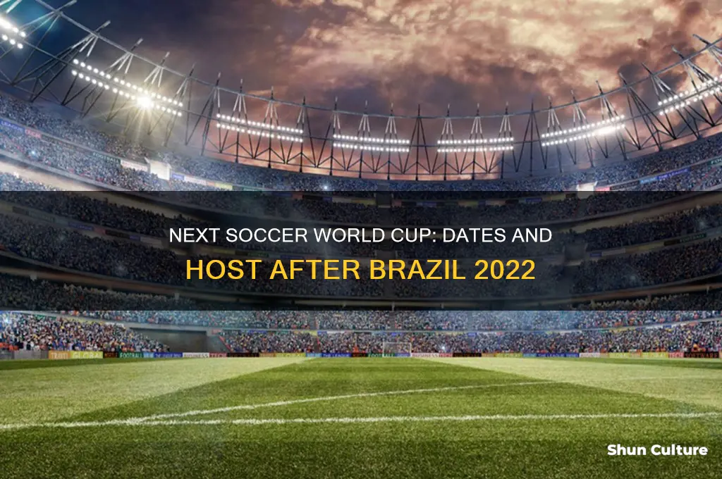 when is the next soccer world cup after brazil