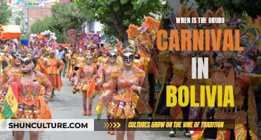 Carnival Magic in Bolivia: The Festive Week of Oro