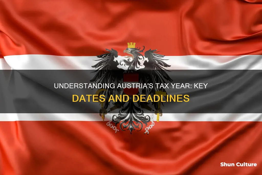 when is the tax year in austria