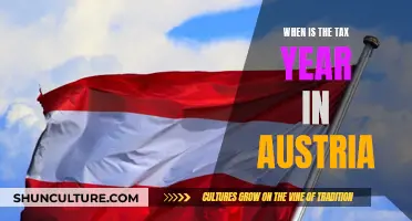 Understanding Austria's Tax Year: Dates and Deadlines