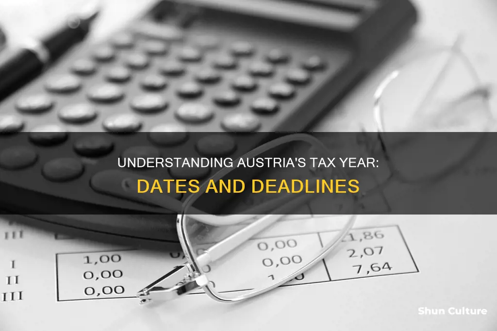 when is the tax year in austria