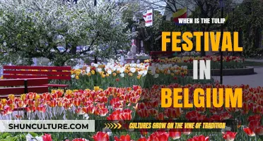 Springtime Spectacle: Belgium's Tulip Festival Dates and Highlights