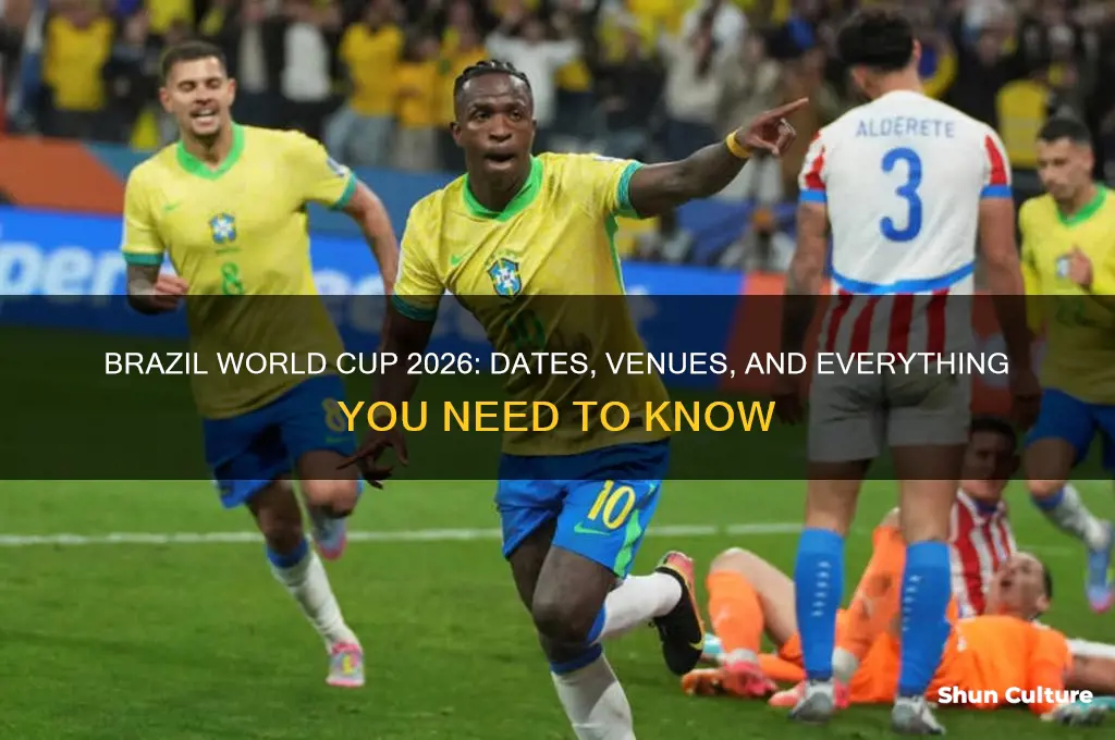 when is the world cup in brazil