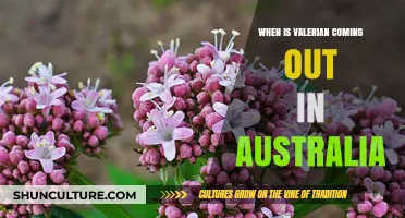 Valerian Release Date in Australia: When Can We Watch?