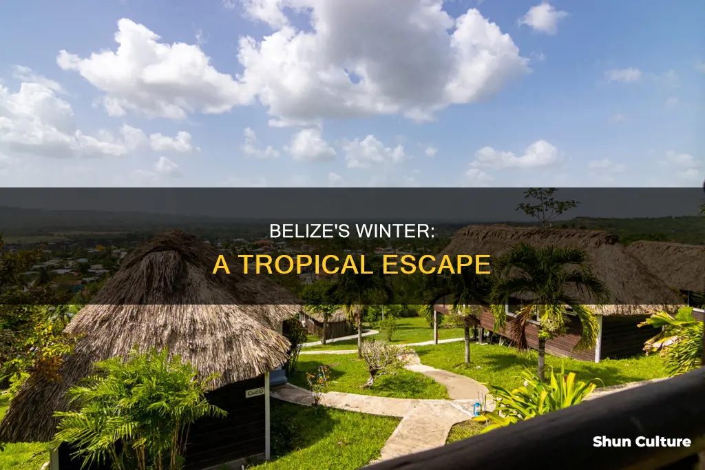 when is winter in belize