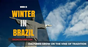 Winter in Brazil: Understanding the Southern Hemisphere's Seasonal Shift