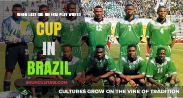 Nigeria's Last World Cup Appearance in Brazil: A Nostalgic Recap