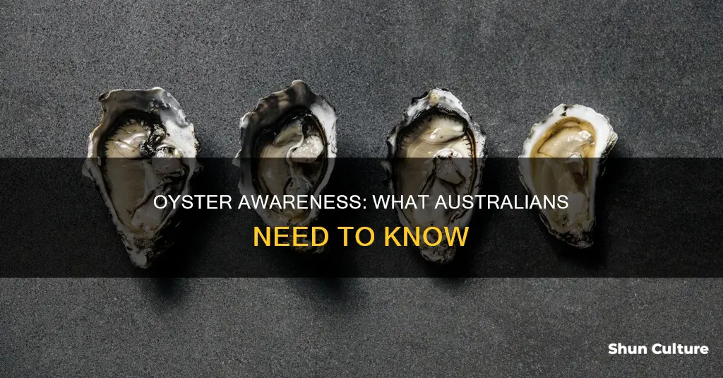 when not to eat oysters in australia