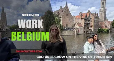 Exploring Belgium's Unique Approach to Object-Oriented Programming