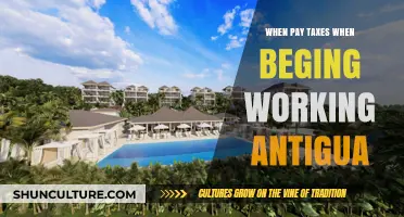 Starting Your Career in Antigua: When and How to Pay Taxes