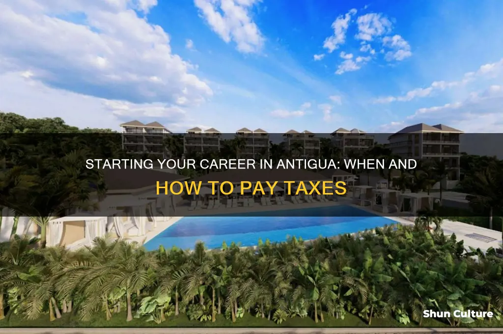 when pay taxes when beging working antigua