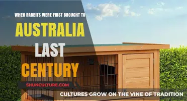 The Arrival of Rabbits in Australia: A Last Century Invasion