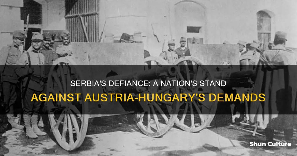 when serbia refuses austria hungary demands