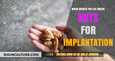 Boosting Implantation Success: Optimal Timing for Eating Brazil Nuts
