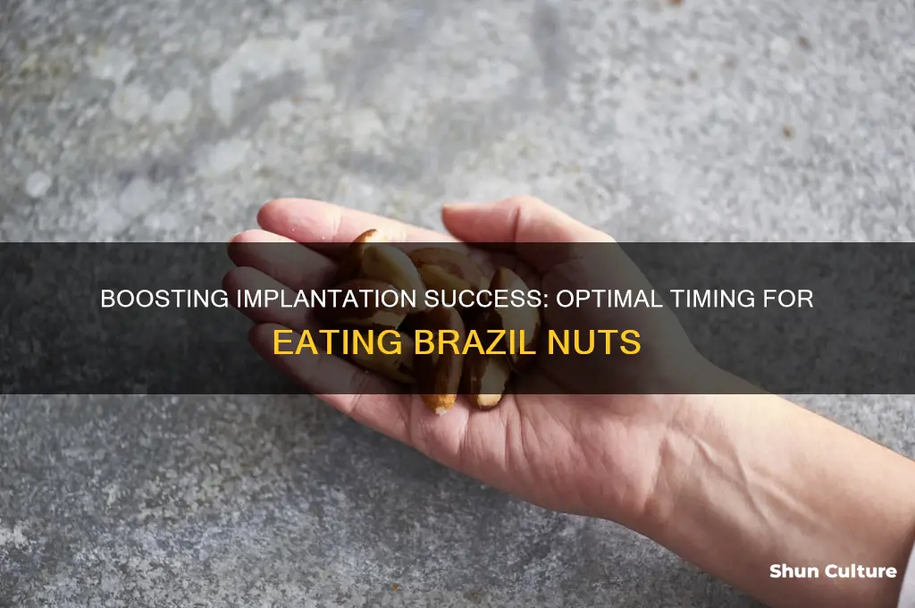 when should you eat brazil nuts for implantation