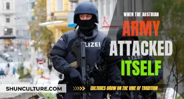 The Austrian Army's Bizarre Self-Attack: What Happened?