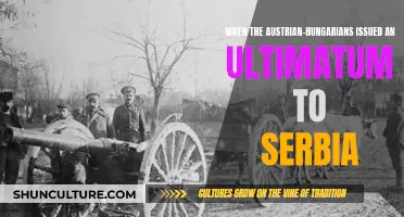 The Ultimatum: Austria-Hungary's Demand to Serbia