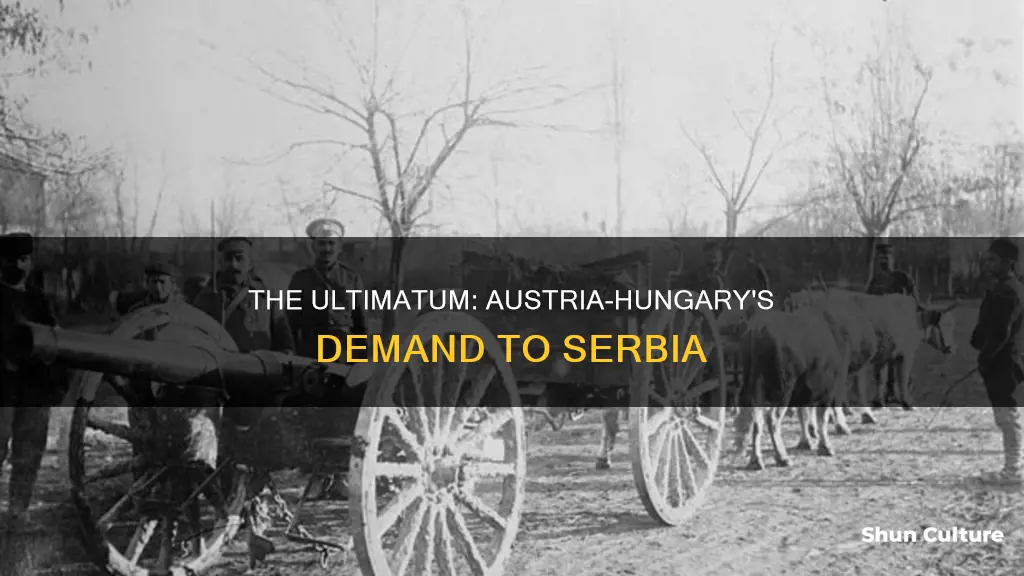 when the austrian-hungarians issued an ultimatum to serbia