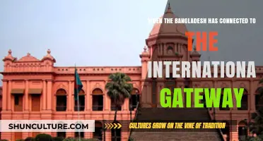 Bangladesh's International Gateway Connection: A Milestone in Global Connectivity