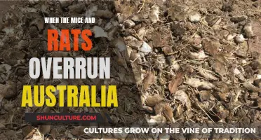 Australia's Rodent Crisis: An Overrun Country